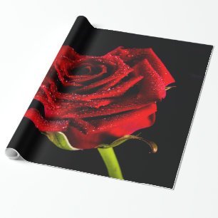 Beautiful red rose wrapping paper