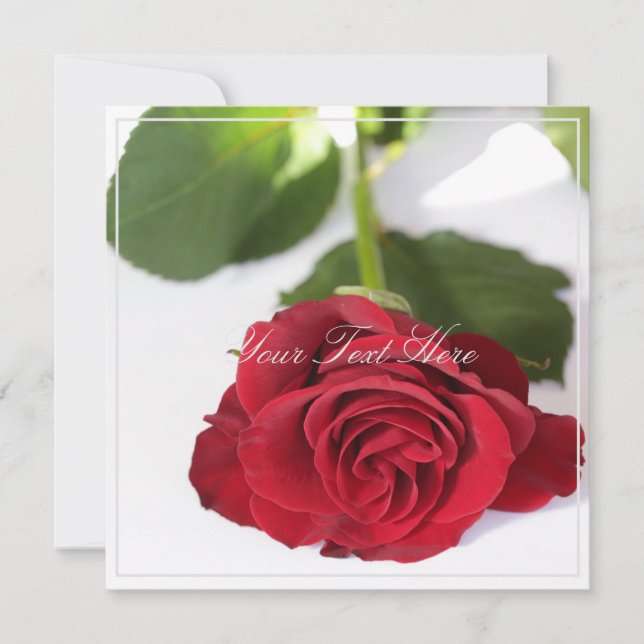 Beautiful Red Rose Your Text Flat Card (Front)