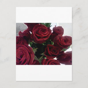 BEAUTIFUL RED ROSES POSTCARD