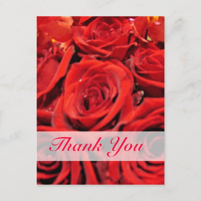 Beautiful Red Roses Thank You Postcard (Front)
