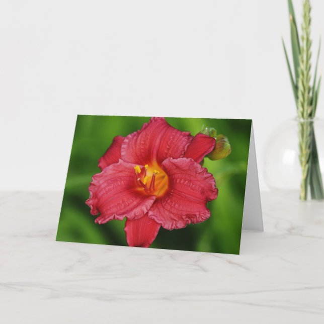Beautiful Red Tropical Flower Note Card (Front)