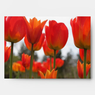 Beautiful Red Tulip Flowers. Envelopes