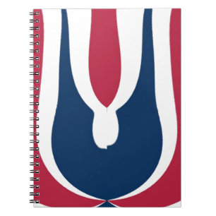 Beautiful Red, White, Blue Texture Colour Abstract Notebook