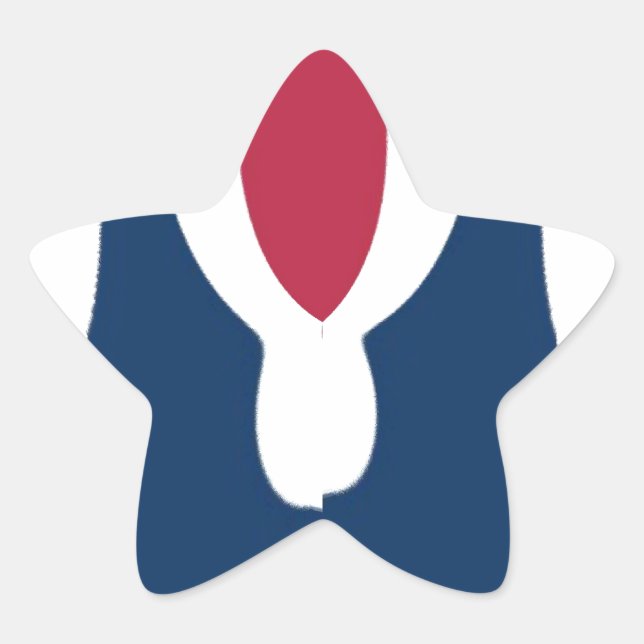 Beautiful Red, White, Blue Texture Colour Abstract Star Sticker (Front)