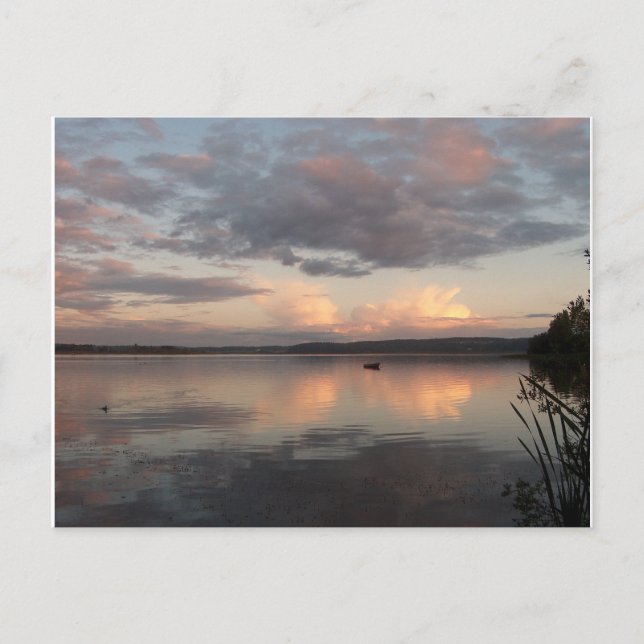 BEAUTIFUL REFLECTIONS by SHARON SHARPE Postcard (Front)