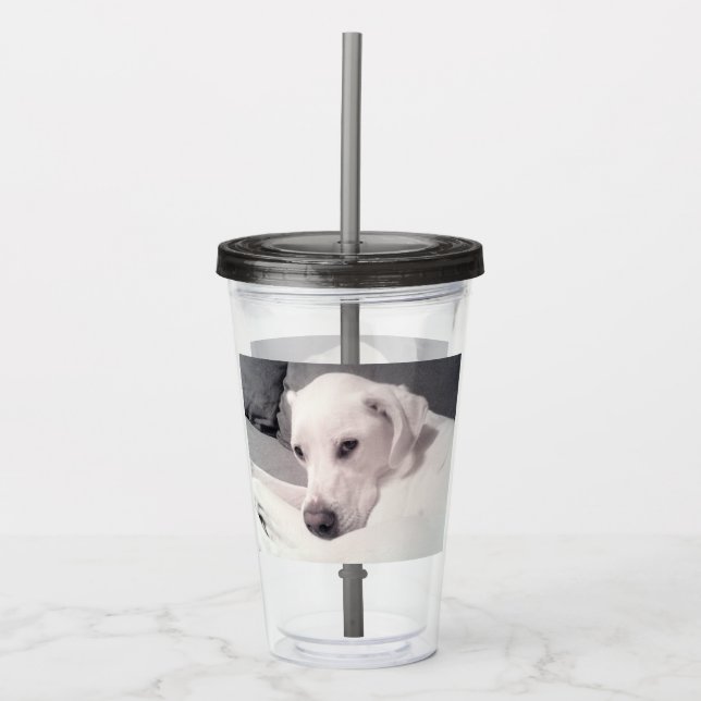 Beautiful Regal White Labrador Mix Dog Grey Acryli Acrylic Tumbler (Front)