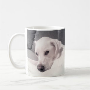 Beautiful Regal White Labrador Mix Dog Grey Coffee Mug