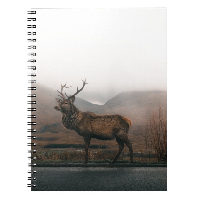 BEAUTIFUL REINDEER NOTEBOOK (Front)