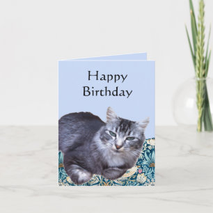 Beautiful Relaxing Cat Editable Card