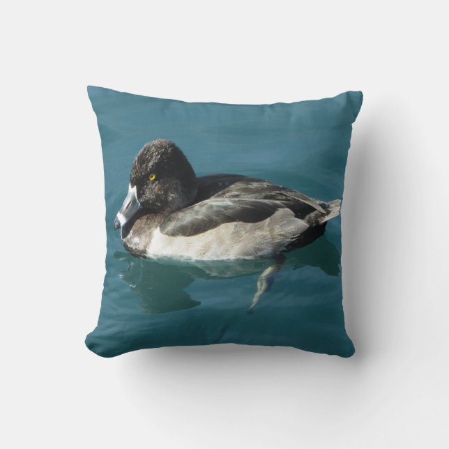 Beautiful Ring-necked Duck Resting On Water Photo Cushion (Front)