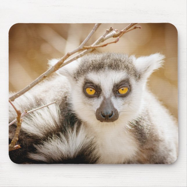 Beautiful Ring Tailed Lemur Mouse Pad (Front)