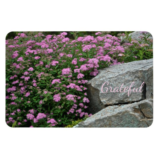 Beautiful Rock Garden Gratitude Magnet (Horizontal)