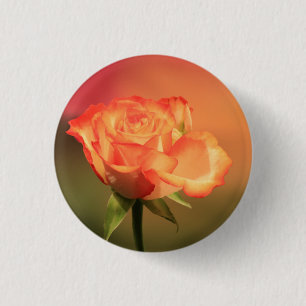 Beautiful Romantic Rose Photograph 3 Cm Round Badge