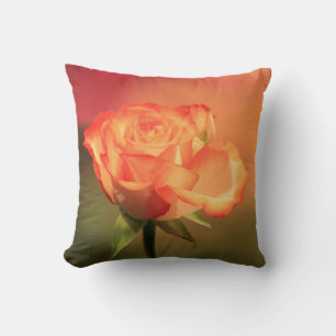 Beautiful Romantic Rose Photograph Cushion