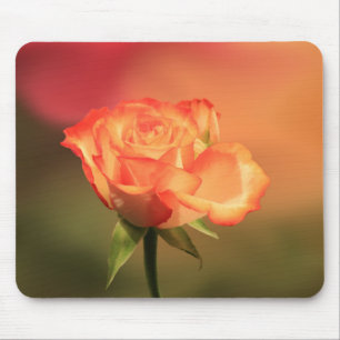 Beautiful Romantic Rose Photograph Mouse Pad