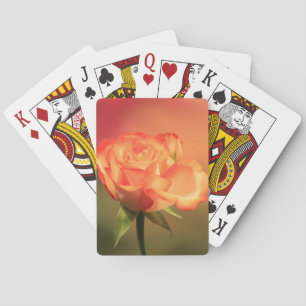 Beautiful Romantic Rose Photograph Playing Cards