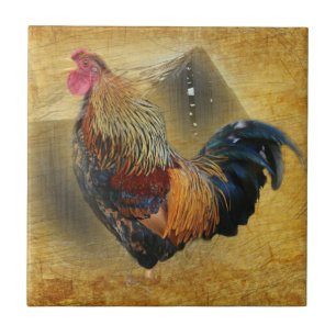 Beautiful Rooster and Rustic Barn Chicken Coop Ceramic Tile