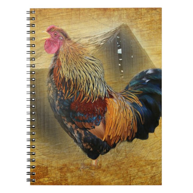 Beautiful Rooster and Rustic Barn Chicken Coop Notebook (Front)