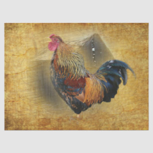 Beautiful Rooster and Rustic Barn Chicken Coop Tissue Paper