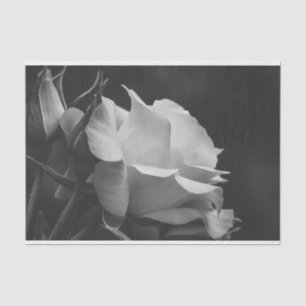 Beautiful Rose and Rosebud Black and White Floral Tissue Paper