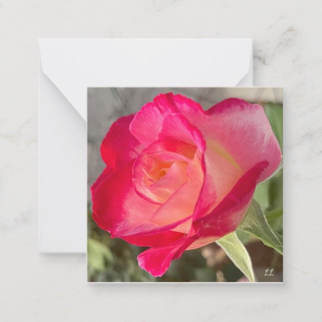 Beautiful Rose Card (Front)