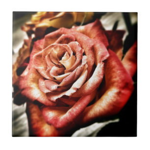 Beautiful Rose Ceramic Tile