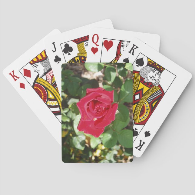 Beautiful Rose Deck of Playing Cards (Back)