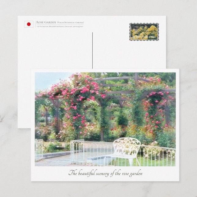 Beautiful Rose Garden Postcard (Front/Back)