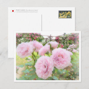 Beautiful Rose Garden Postcard