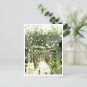 Beautiful Rose Garden Postcard