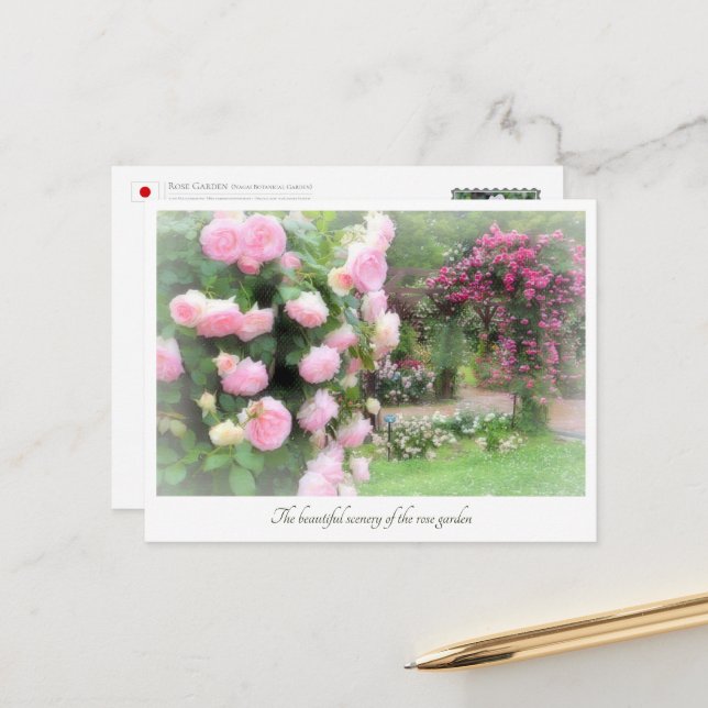 Beautiful Rose Garden Postcard (Front/Back In Situ)