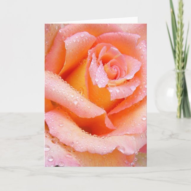Beautiful Rose Greeting Card (Front)