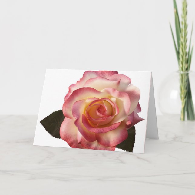 Beautiful Rose Greeting Card. Card (Front)