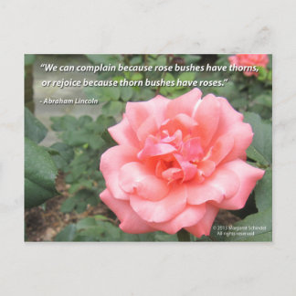 Beautiful Rose in Bloom postcard w/ Lincoln quote