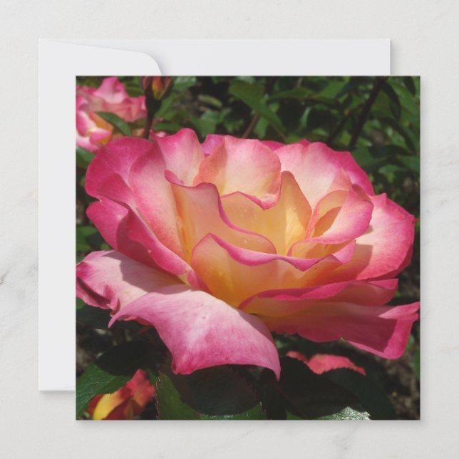 Beautiful Rose Invitation (Front)