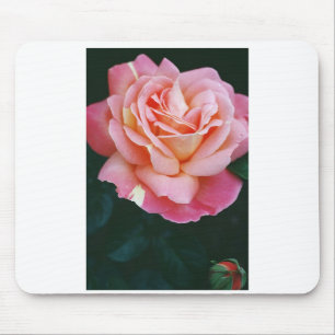 Beautiful Rose Mouse Pad