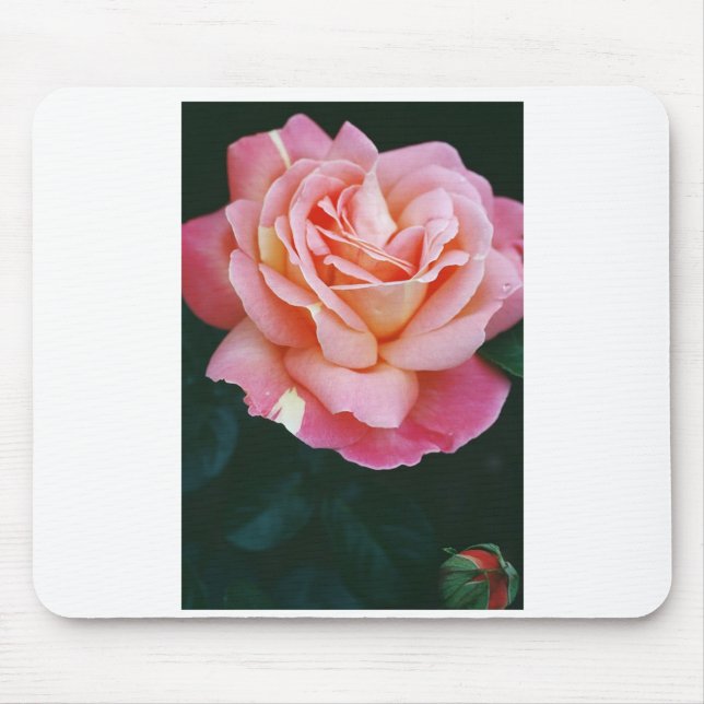 Beautiful Rose Mouse Pad (Front)