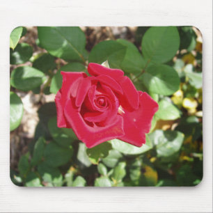 Beautiful Rose Mouse Pad