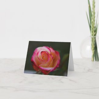 Beautiful Rose Note Card