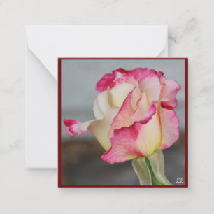 Beautiful Rose Note Card