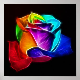 Beautiful Rose of Colours 5 Poster