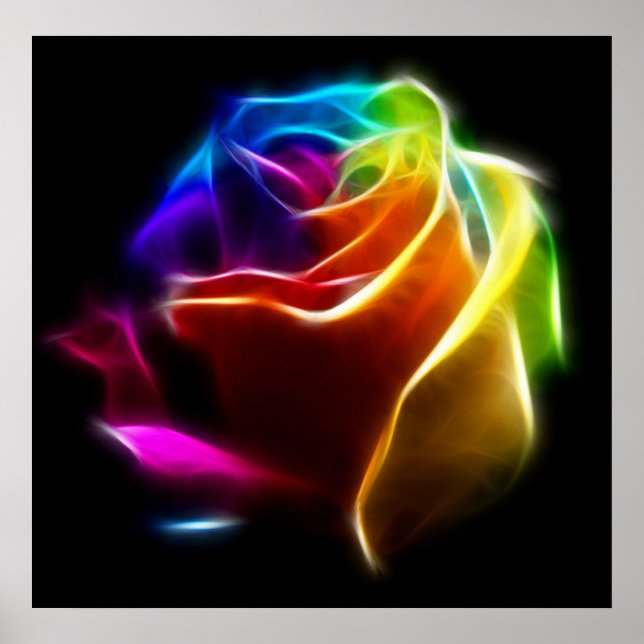 Beautiful Rose of Colours No2 Poster (Front)