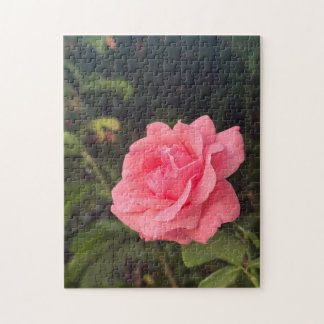 beautiful rose puzzle