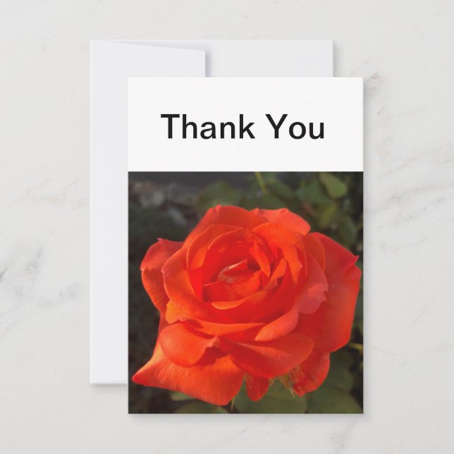 Beautiful Rose Thank You Card (Front)
