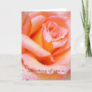 Beautiful Rose Thinking Of You Card