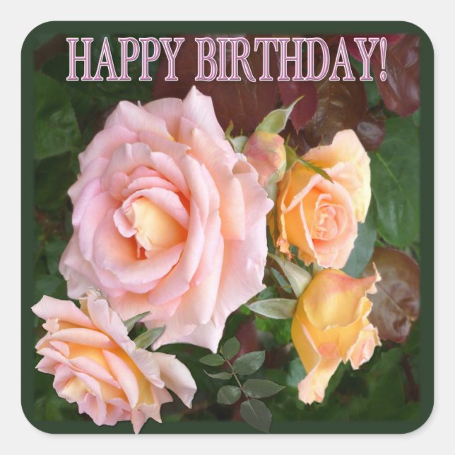 Beautiful Roses Birthday Square Sticker (Front)