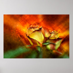 Beautiful Roses Poster