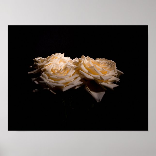 Beautiful Roses Poster (Front)