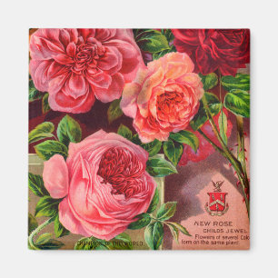 Beautiful Roses Vintage Floral Advertisement Magnet
