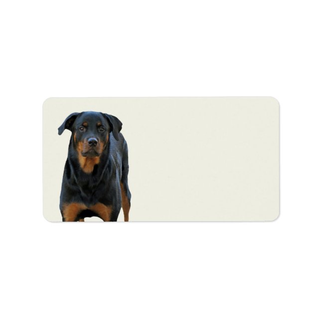 Beautiful Rottweiler Labels (Front)